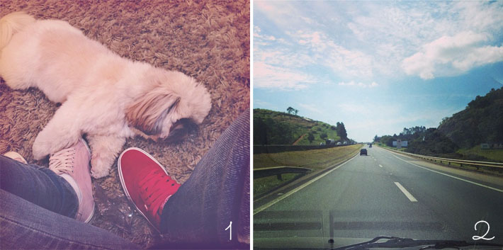 resumo-da-semana-instagram-01