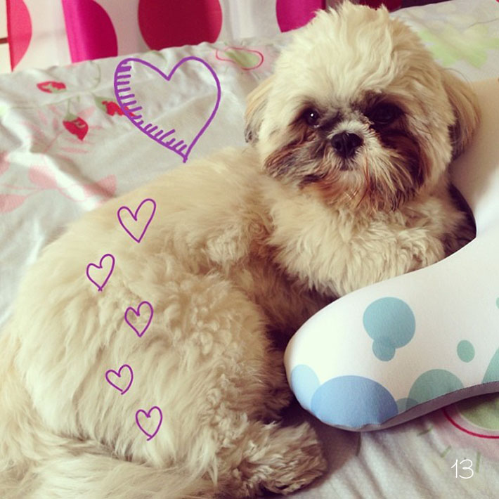 resumo-da-semana-instagram-07