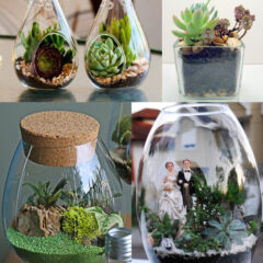 Terrário | Veja como fazer os mini jardins em potes de vidro